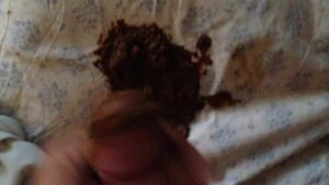 Free Scat Porn