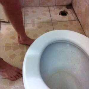 Free Scat Porn
