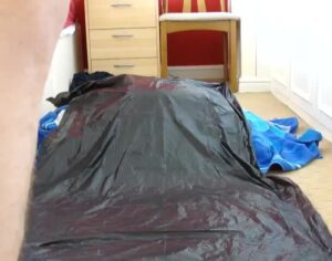 Free Scat Porn