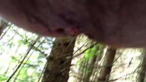 Free Scat Porn