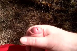 Free Scat Porn