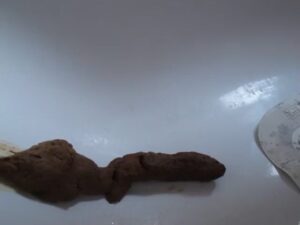 Free Scat Porn