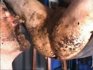 Free Scat Porn