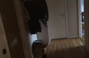 Free Scat Porn