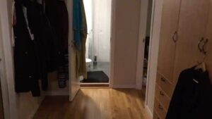 Free Scat Porn
