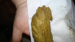 Free Scat Porn