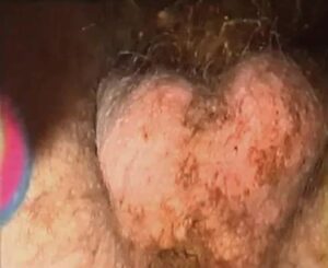 Free Scat Porn