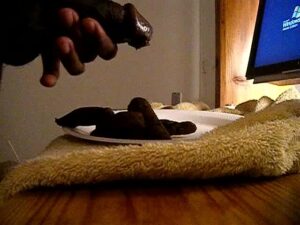 Free Scat Porn