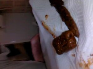 Free Scat Porn