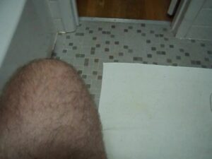 Free Scat Porn