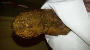 Free Scat Porn