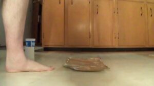 Free Scat Porn