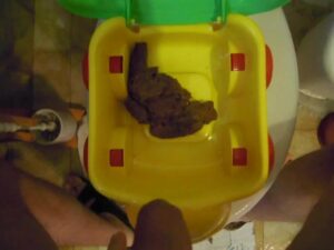 Free Scat Porn