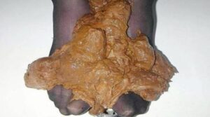 Free Scat Porn
