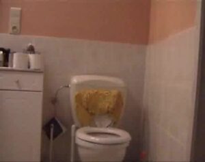 Free Scat Porn