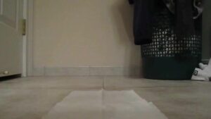 Free Scat Porn