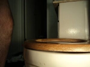 Free Scat Porn