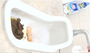 Free Scat Porn