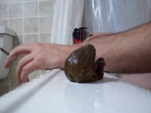 Free Scat Porn