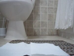 Free Scat Porn