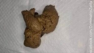 Free Scat Porn