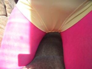 Free Scat Porn