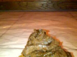 Free Scat Porn