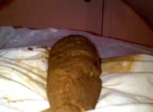 Free Scat Porn