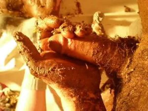 Free Scat Porn