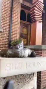 Free Scat Porn
