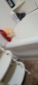 Free Scat Porn