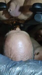Free Scat Porn