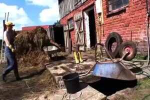 Free Scat Porn