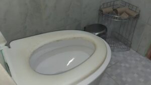Free Scat Porn