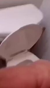 Free Scat Porn