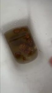 Free Scat Porn