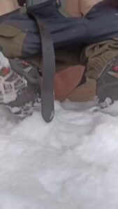 Free Scat Porn