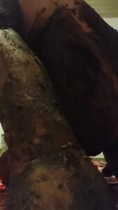 Free Scat Porn