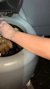 Free Scat Porn