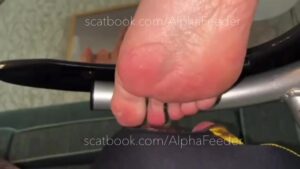 Free Scat Porn
