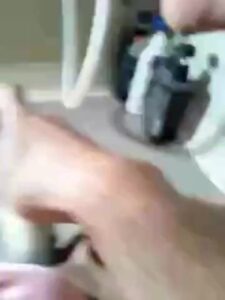 Free Scat Porn