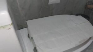 Free Scat Porn