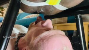 Free Scat Porn