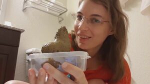 Free Scat Porn