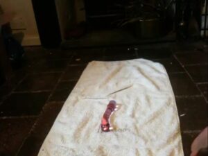Free Scat Porn