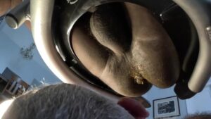 Free Scat Porn