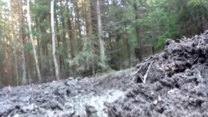 Free Scat Porn