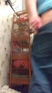 Free Scat Porn
