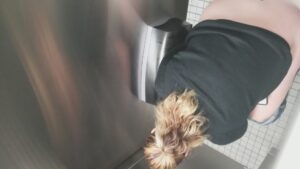 Free Scat Porn