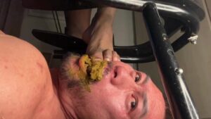 Free Scat Porn
